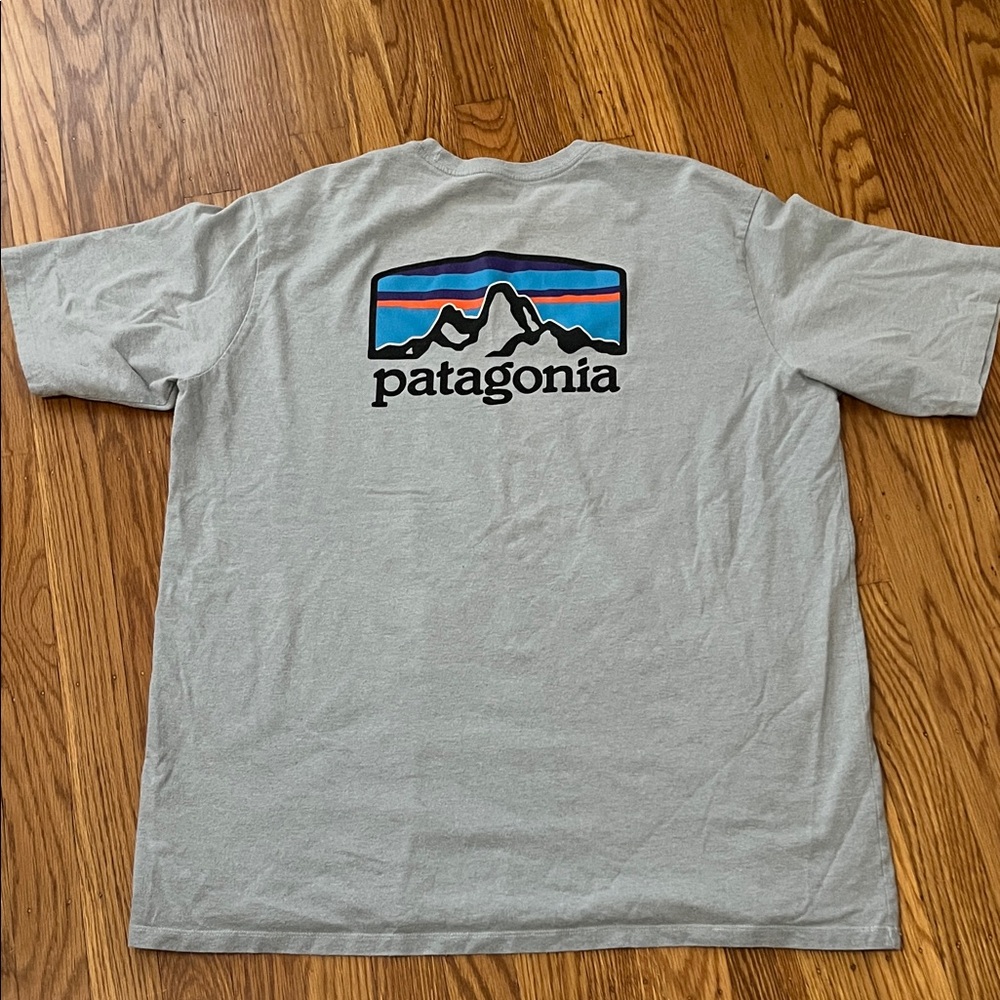 Patagonia T-shirt